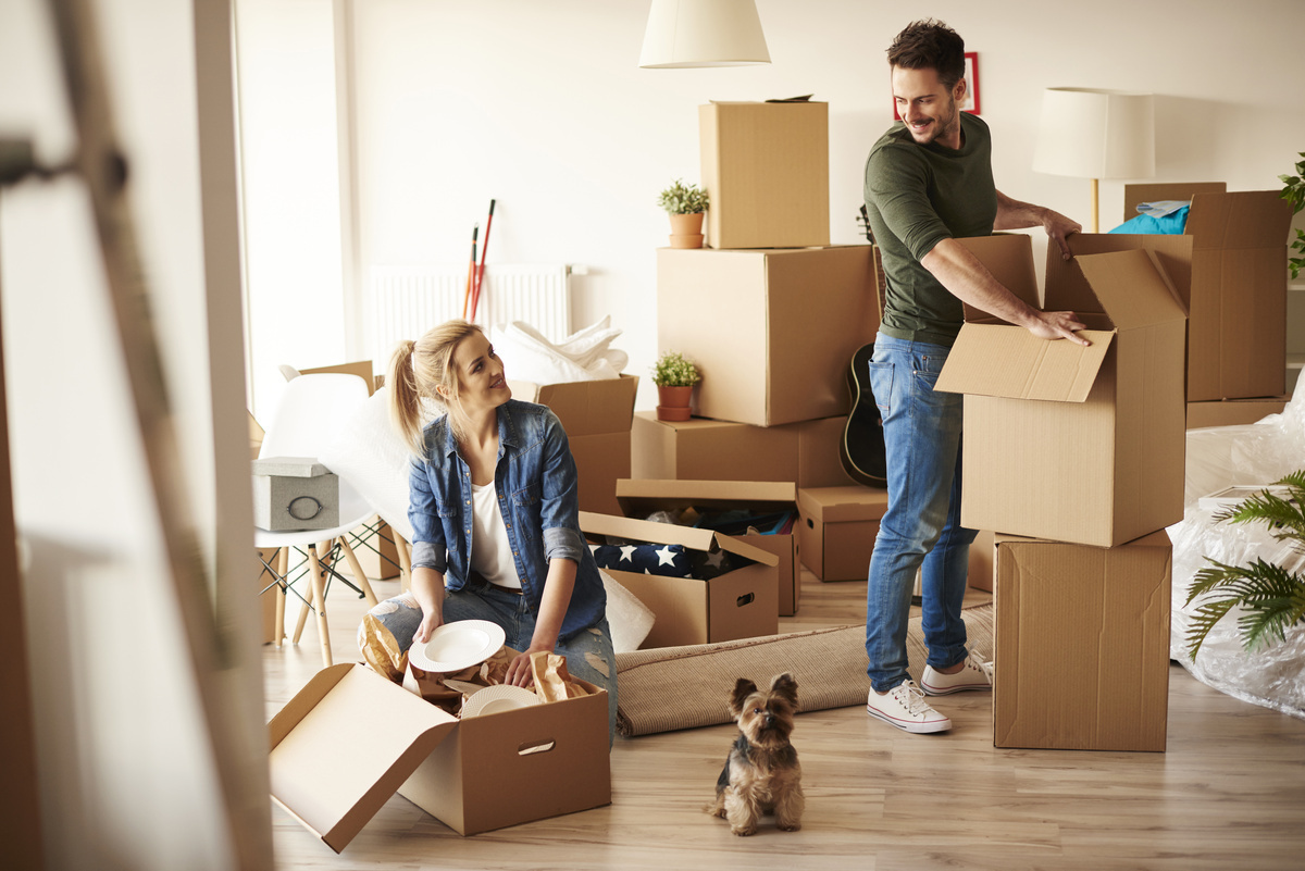 Umzug & Formalitäten in Bielefeld – Checklisten, Tipps und Services